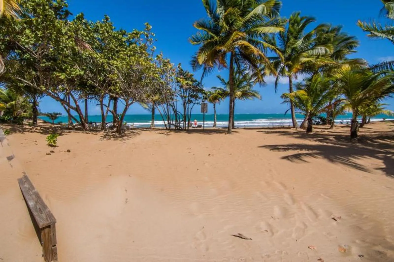 Apartment Come, Enjoy & Relax Bosque Del Mar 1 Rio Grande, Pr Puerto Rico